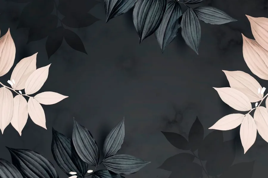 Black and White Elegant Celebration Backdrop