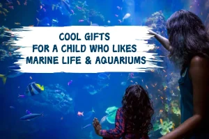 Cool Gifts For A Child Who Likes Marine Life And Aquariums