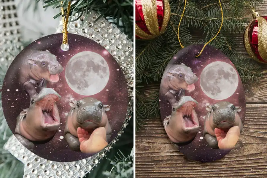 Hippo Baby Moo Deng Ceramic Ornaments