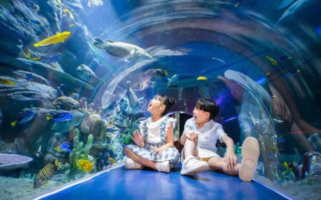 Interactive aquarium experience gifts for ocean-loving kids