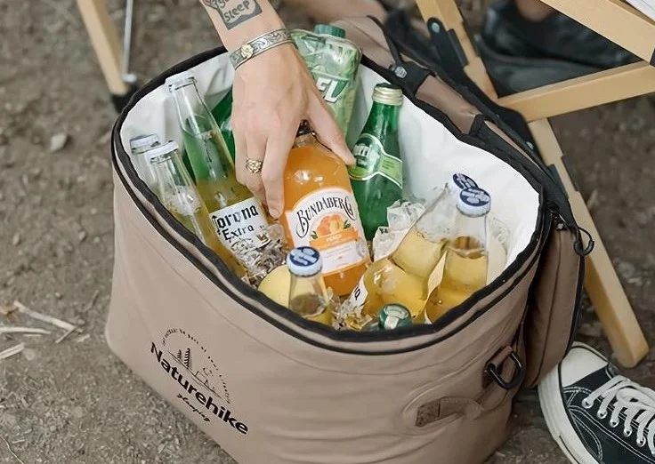 The _mini fridge_ to store ice and preserve food