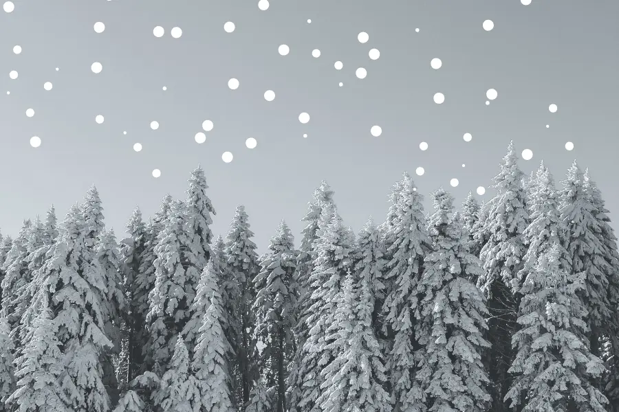 Winter Wonderland Theme Background