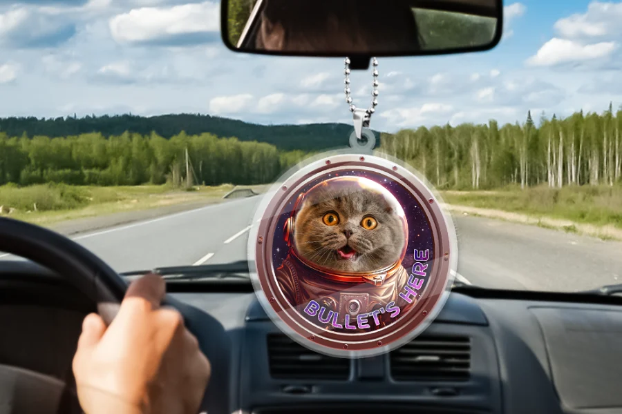 You can customize this “Cat In Space” Car Hanging Ornament