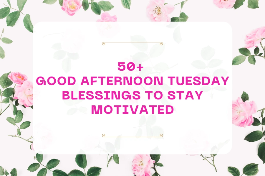 50+ Good Afternoon Tuesday Blessings to Stay Motivated