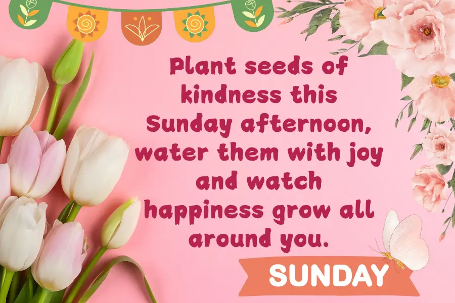 Plant seeds of kindness this Sunday afternoon & water them with joy