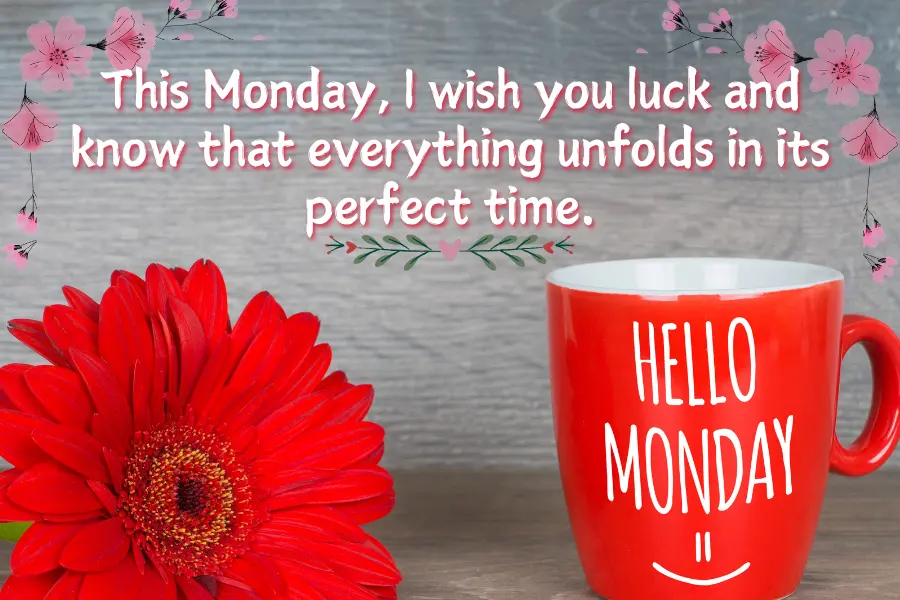 This Monday, I wish you luck & know that everything unfolds in its perfect time